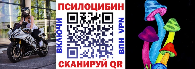 где купить наркотик  Навашино  Псилоцибиновые грибы ЛСД 